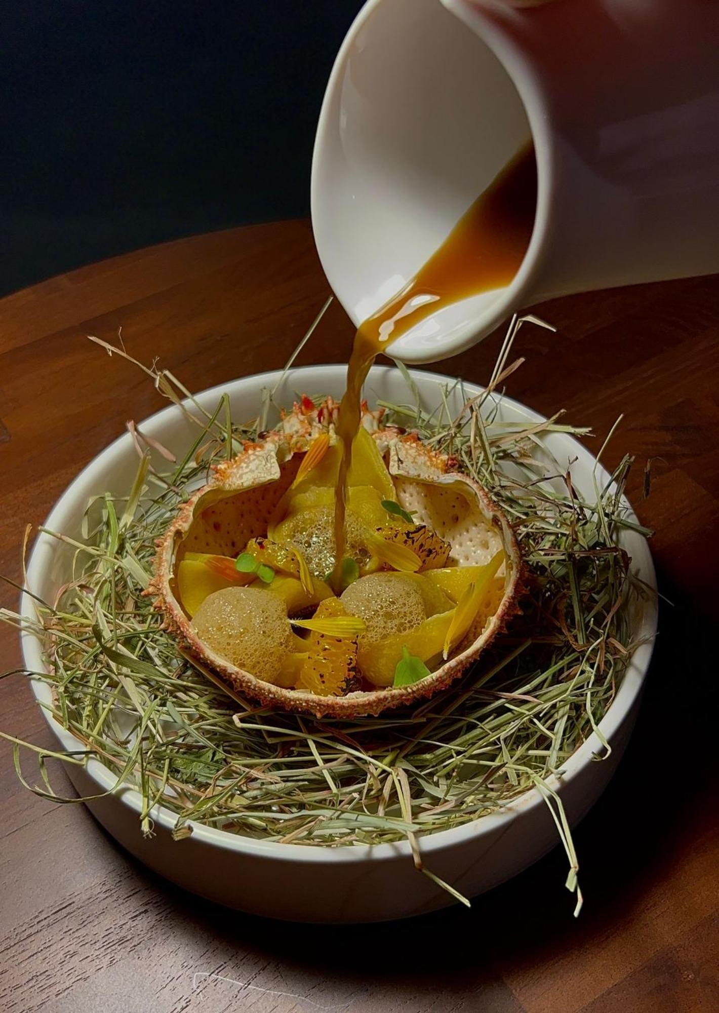 Hotel Maison Pavlov - Restaurant & Spa - Bordeaux Bouscat Le Bouscat Kültér fotó